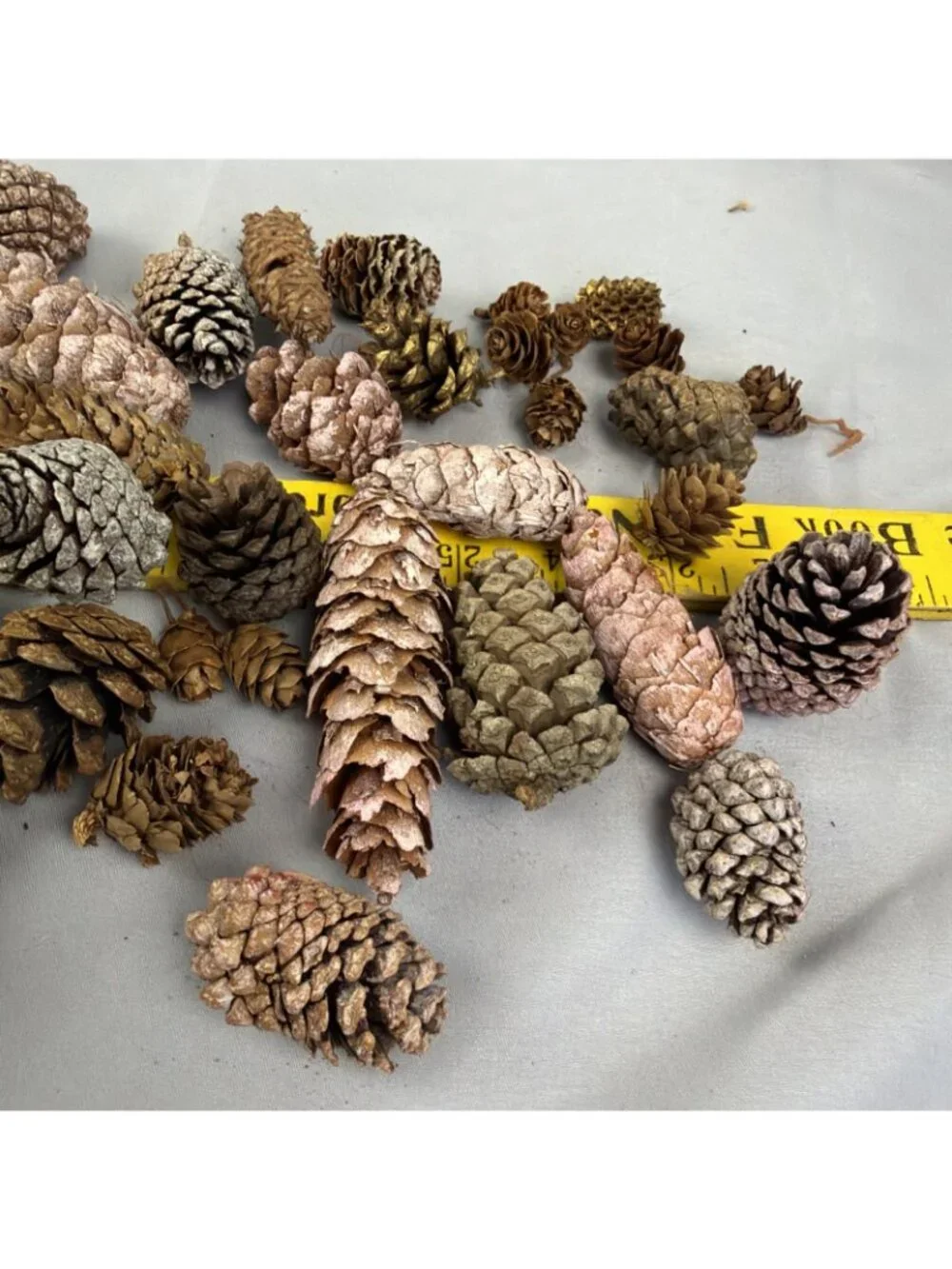 Huge Mix Lot Pinecone Sweet Gum Pods Home Decor Crafts Floral Design